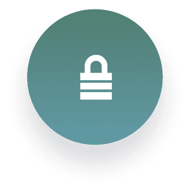 Governance icon